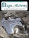 The Encyclopedia of Magic And Alchemy