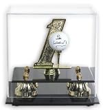 Golden Classic Golf Ball Deluxe Display Case