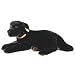 Labrador Retriever (Black) AKC Licensed Replica by Steiff