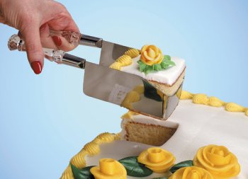 Childrens Toyshop  Kitchen & Housewares : Debbie Meyer's Kake-kut'r®; for Sheet Cakes; Krystal d'EleganceTM handle Style