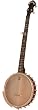 Vega Senator 5 String Banjo by Deering