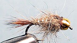 Bead Head Gold Ribbed Size: 16