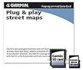 Garmin City Navigator Mexico NT (microSD?/SD? card )