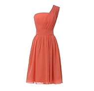 Cocktail Short Chiffon/Silk Evening Dress/Bridesmaid Dress/Party Dress 