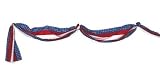 Red White and Blue Patriotic Bunting 20 Feet Long for 4th of July, Memorial Day Decoration 318ZQ%2BgtNTL. SL160 Red White and Blue Patriotic Bunting 20 Feet Long for 4th of July, Memorial Day Decoration