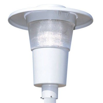 Prismatic 250W Outdoor Tri-Tap Ballast in Acrylic Dark Bronze 