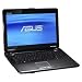 ASUS M60J-A1 16-Inch Silver Grey Versatile Entertainment Laptop (Windows 7 Home Premium)