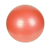 55cm Anti-Burst Exercise Ball