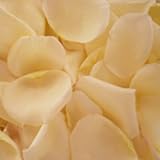 Creamy White Rose Petals