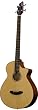 Breedlove Atlas Studio BJ350/SM4  Acoustic Electric Bass