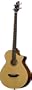 Breedlove Atlas Studio BJ350/SM4  Acoustic Electric Bass