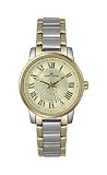 AK Anne Klein Two-tone Bracelet Champagne Dial Women's watch #10/9335CHTT