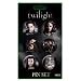 Twilight Round Buttons set of 6 Edward, Bella, Jacob, Crest, Cast, Edward/Bella