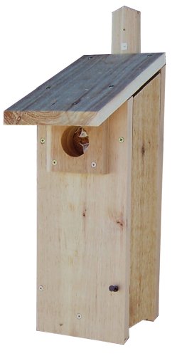 Stovall 4H Woodpecker House