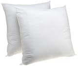 Carpenter Euro Square Sham Stuffer