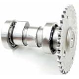 Produkt-Bild: Nockenwelle China-Roller QT50/Baotian/Motor 139QMB