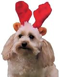 Pet Supplies : Small Kyjen Christmas Santa Reindeer Antler Pet Headband
