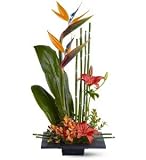 Teleflora's Paradise Found