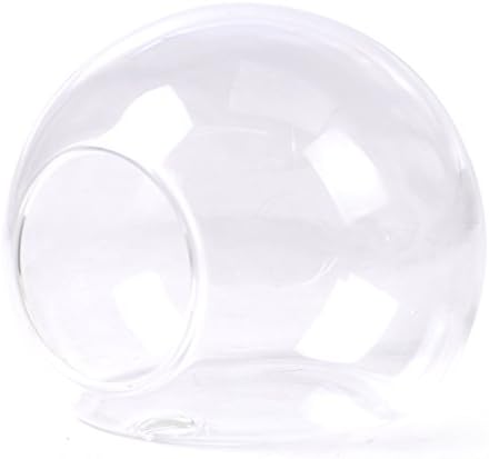 hermeshine TM Decorative Wall Mount Hanging Clear Glass Vase Flower Plant Pot Container Planter Terrarium