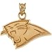 14K Yellow Gold Carolina Panthers Pendant This Item Is Approximately 2 grams