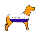 Tottenham Hotspur Personalised Waterproof Dog Coat Size XS (10 25cm)