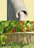 Bamboo Cap for flexible fencing 6 foot