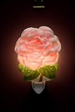 Flowers of Light Night Lights Camellia Ibis and Orchid