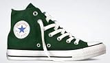 Converse Chuck Taylor All Star Hi Top Greener Pastures Canvas Shoes