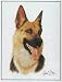 3 Pack of German Shepherd Garden Flag