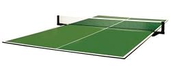 Prince DMI Sports Billiard Table Conversion Table Tennis Top