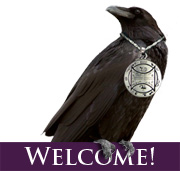 raven jewelry