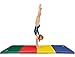 We Sell Mats 4 ft x 8 ft x 2 in Gymnastics Mat, Folding Tumbling Mat, Portable with Hook & Loop Fasteners, Multicolor