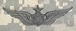 Senior Aircraft Crewman - Metal Insignia - Black - Full Size