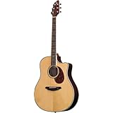 Breedlove Atlas Stage D25/SR Acoustic Electric Guitar