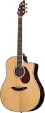 Breedlove Atlas Stage D25 / SR Acoustic Electric Guitar - B001GFD1E0