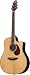 Breedlove Atlas Stage D25/SR Acoustic Electric Guitar