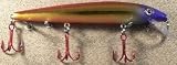 JLVLures JLV Shallow Suspending Minnow Purple Headed Demon : Husky Stickbait Lures Saltwater Freshwater Jerk Bass Smallmouth Steelhead Pike Muskie Salmon Trout Snook Striper Perch Whiper Snook Speckled Trevally, Mid- Depth Trolling Casting Hook Treble