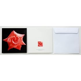 Greeting Card "Salmon Rose"