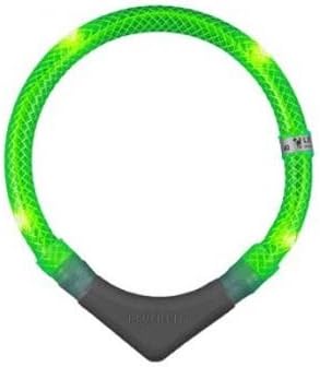 Leuchtie - Collier lumineux pour chien Leuchtie Plus - vert clair - 50 cm