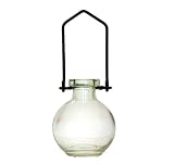 Hanging Flowers Colored Glass Vase G70 Clear -1/pc ~ Colored Glass Bottle ~ Floral Vase ~ Colored Vase ~ Bud Vase ~ Wall Vase ~ Garden Vase