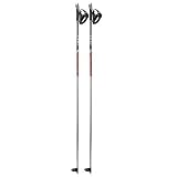 Leki Cruiser Cross Country Ski Poles
