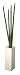 �s�l�H�ϗt�A���tF-style vase Sansevieria Stucky�i�T���Z�x���A �X�^�b�L�[�j