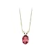 14K Yellow Gold 7/8 ct. Oval Shaped Pink Topaz Pendant with Chain