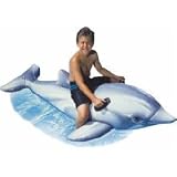 Inflatable Dolphin Swimming Pool Float Toy