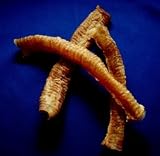 Pet Supplies : Lamb Trachea