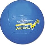 Official Wallyball Ball
