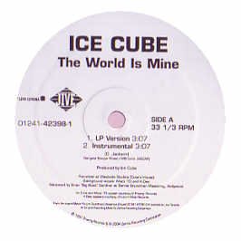 Ice Cube Picture 5