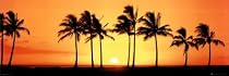 Hawaii Tropical Sunset (Palm Trees, Door) Art Poster Print - 21x62