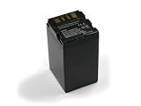 Produkt-Bild: ANGEBOT SET OXENDOX Digicam - Akku + Ladeger&auml;t ( Netzteil / Kfz - Adapter / 2800mAh ) f&uuml;r Akku - Typ JVC BN-VF707U - KEINE VERSANDKOSTEN