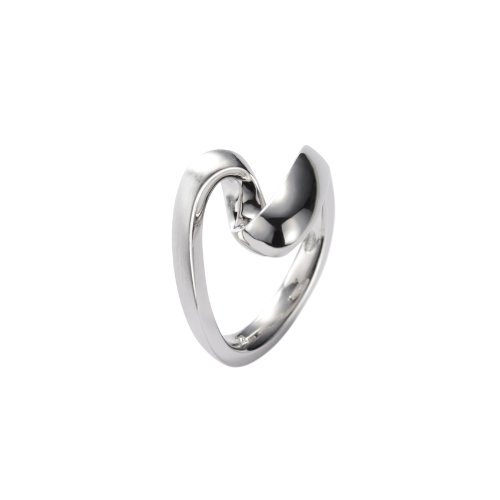 FOSSIL  JF15290040503 Damen Ring 925 Sterling Silber 160 Preisvergleich